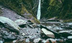 why is lescohid herbicide good