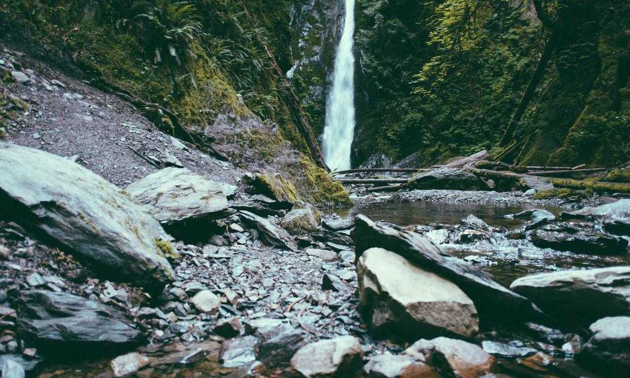 why is lescohid herbicide good