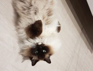 most liberal small towns in texas