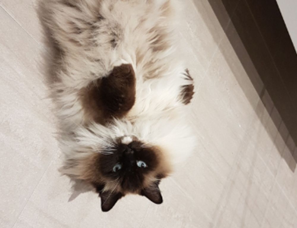 most liberal small towns in texas