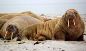 neighbor keeps putting stuff on my property