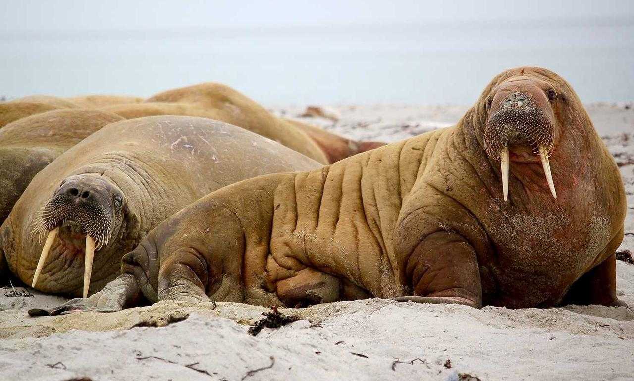 neighbor keeps putting stuff on my property