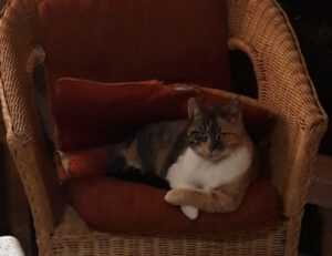 not recommended characteristic for incident objectives