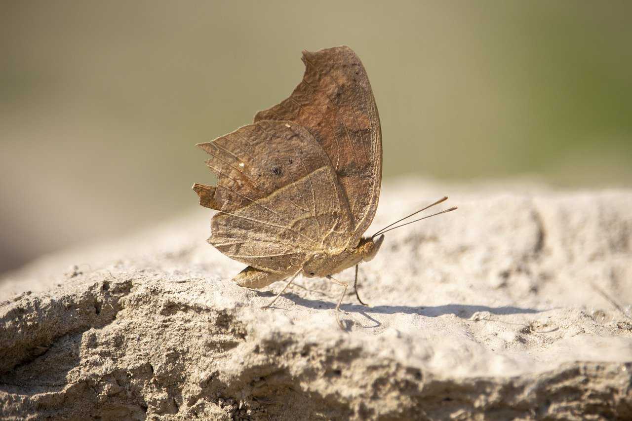 old woman short hairstyles for fine hair over 60 with glasses