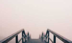 other books by the author of a court of thorns and roses