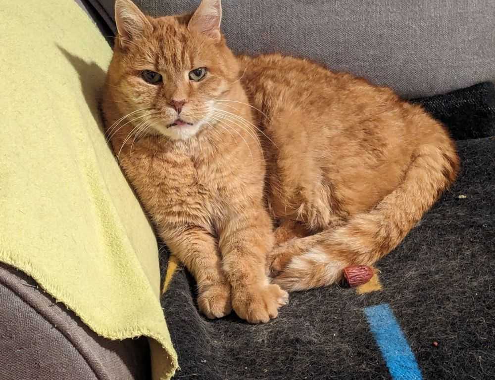 otp 1 certification test 2020 answers