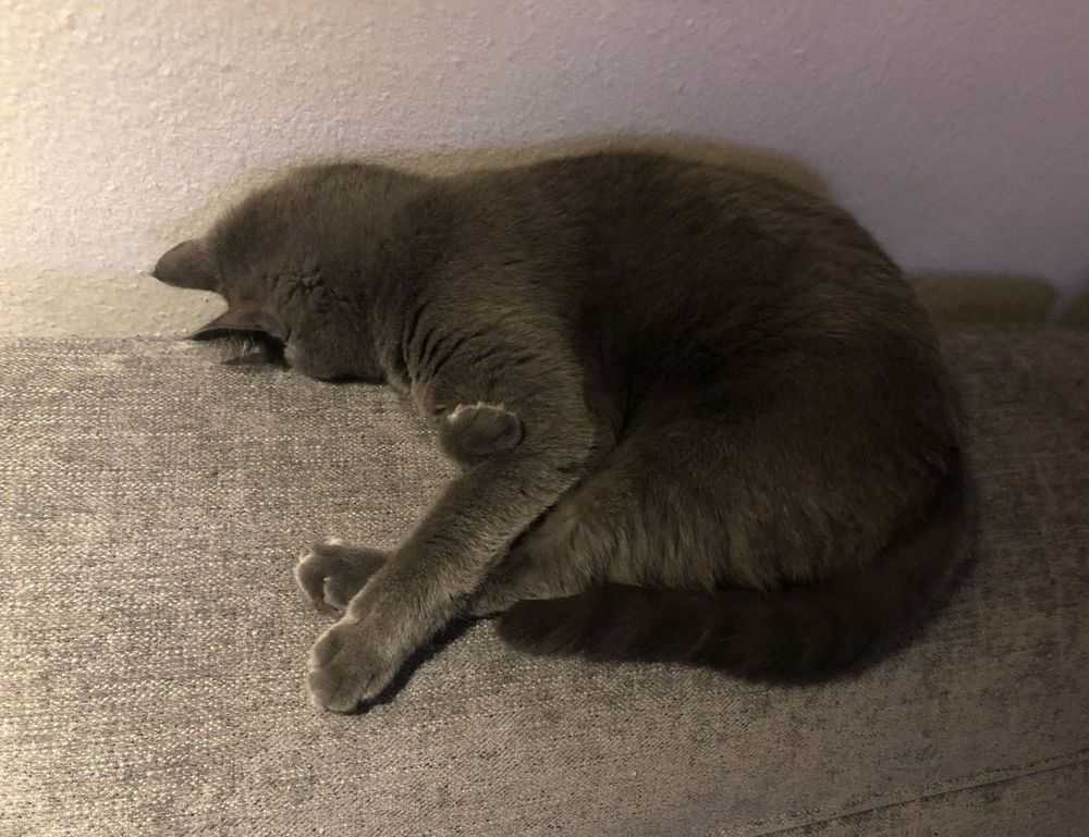 p.o. box 17316 salt lake city utah card enclosed