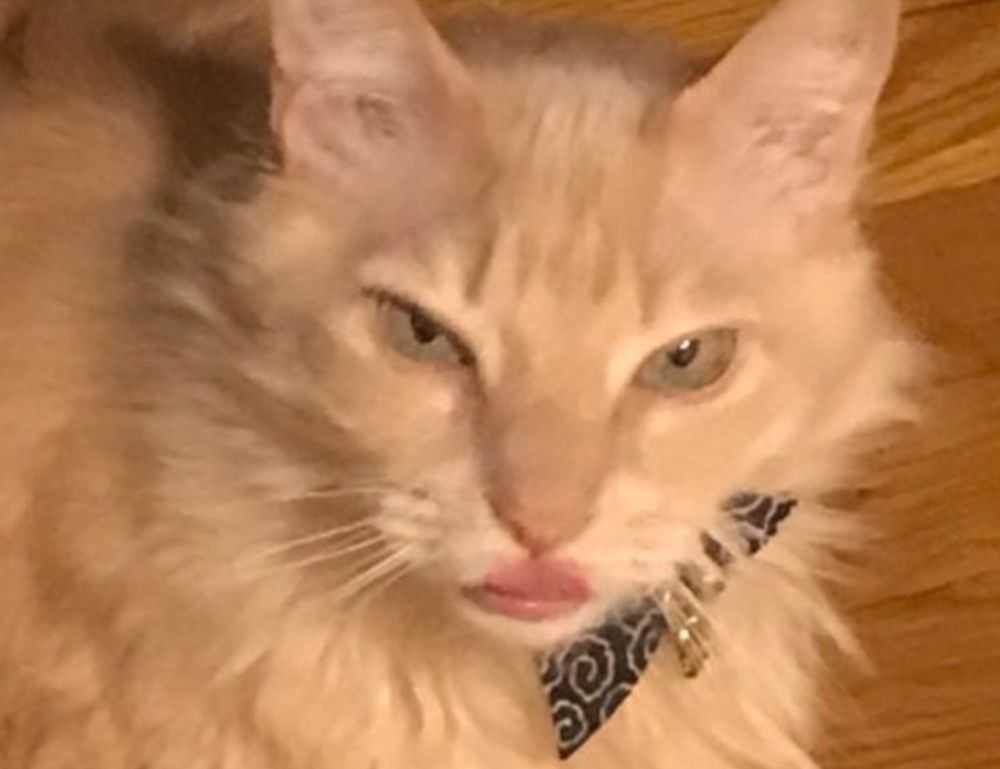 physical features of the lower southeast