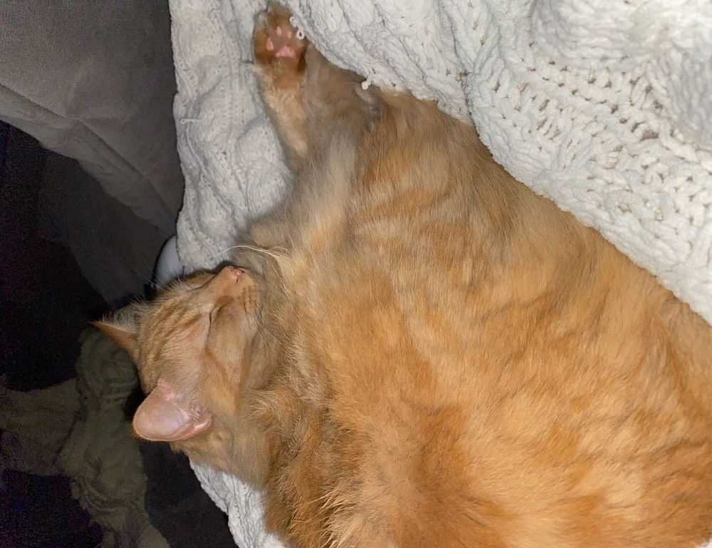 pimple with no pus just clear liquid