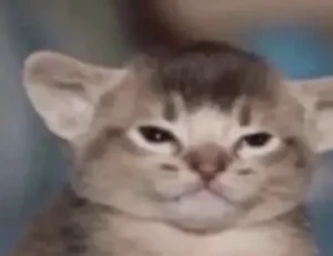 pimples with clear fluid on face