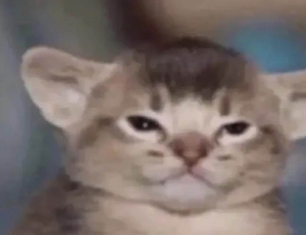 pimples with clear fluid on face