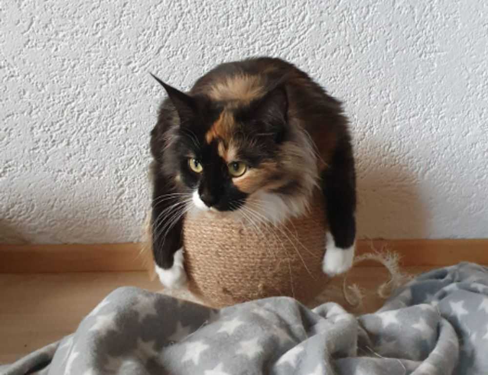 po box 17316 salt lake city utah card enclosed