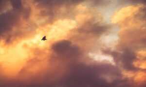 point of retreat colleen hoover summary