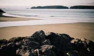 popped a pimple and clear liquid came out