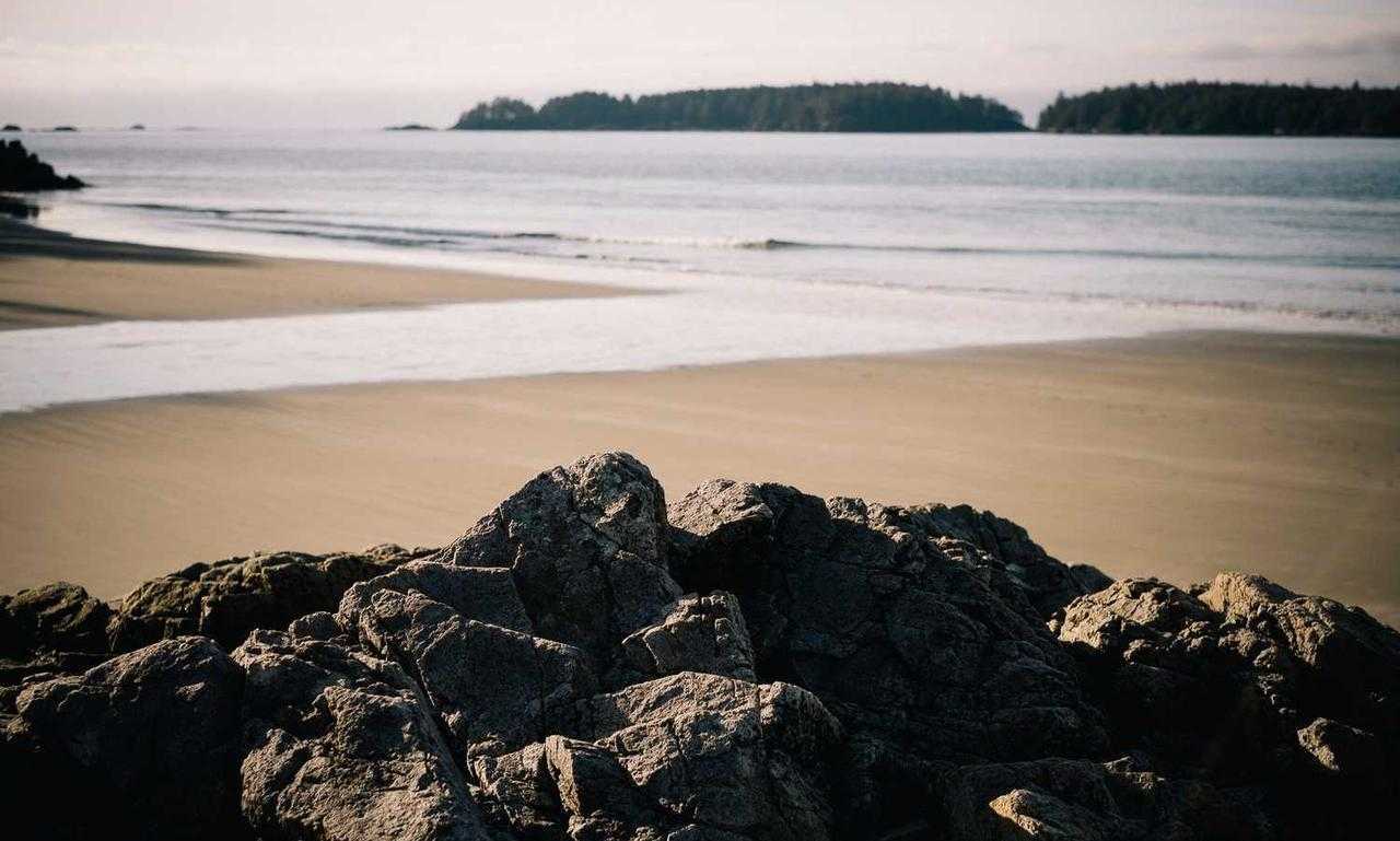 popped a pimple and clear liquid came out