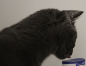 popping a cyst with a needle