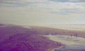 popular female singers in the 60s