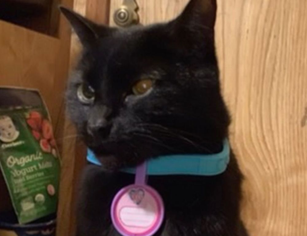 popular songs in 6/8 time signature