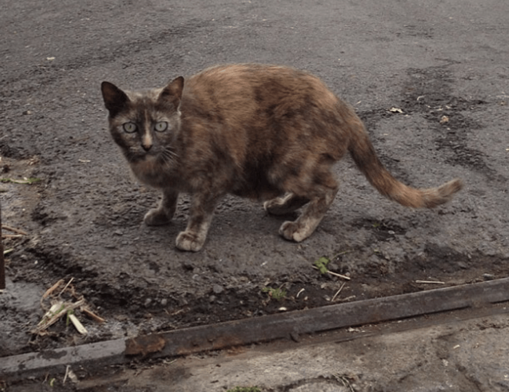 popular songs with a lot of bass