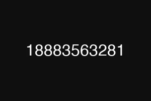 18883563281