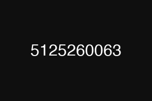 5125260063