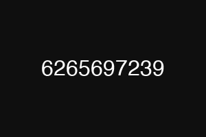 6265697239