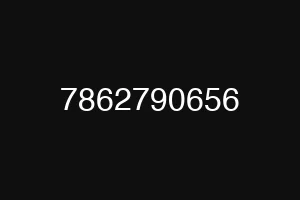 7862790656