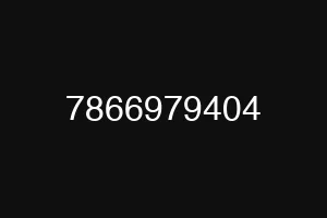 7866979404