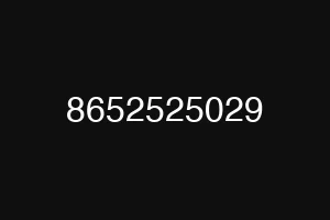8652525029