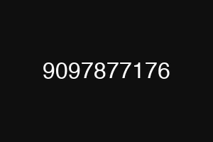 9097877176
