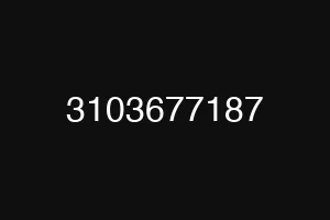 3103677187