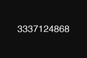 3337124868