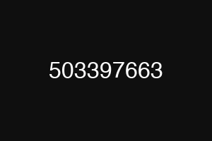 503397663