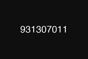931307011