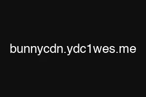 bunnycdn.ydc1wes.me