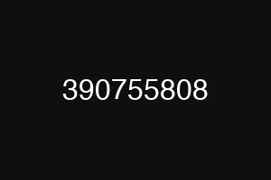 390755808
