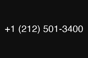 +1 (212) 501-3400