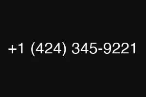+1 (424) 345-9221