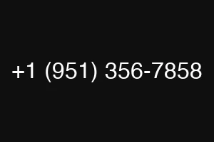 +1 (951) 356-7858