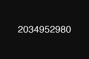 2034952980
