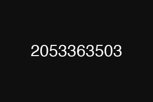 2053363503