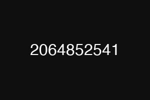 2064852541