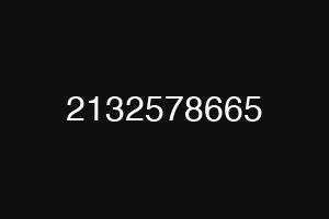 2132578665