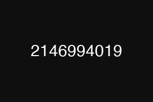 2146994019