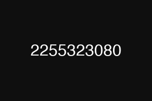 2255323080
