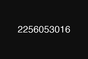2256053016