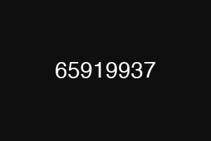 65919937
